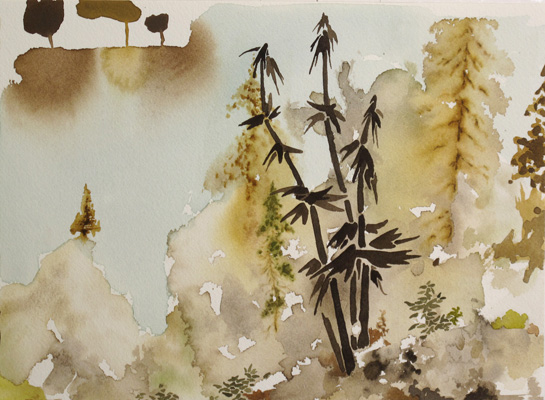 Cloud Forest A4 2013